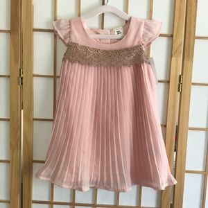 Sweet Shimmery Pink Dress (12-18m)